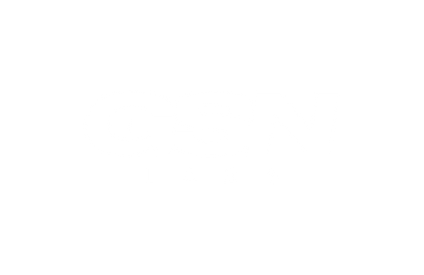GSN Labs